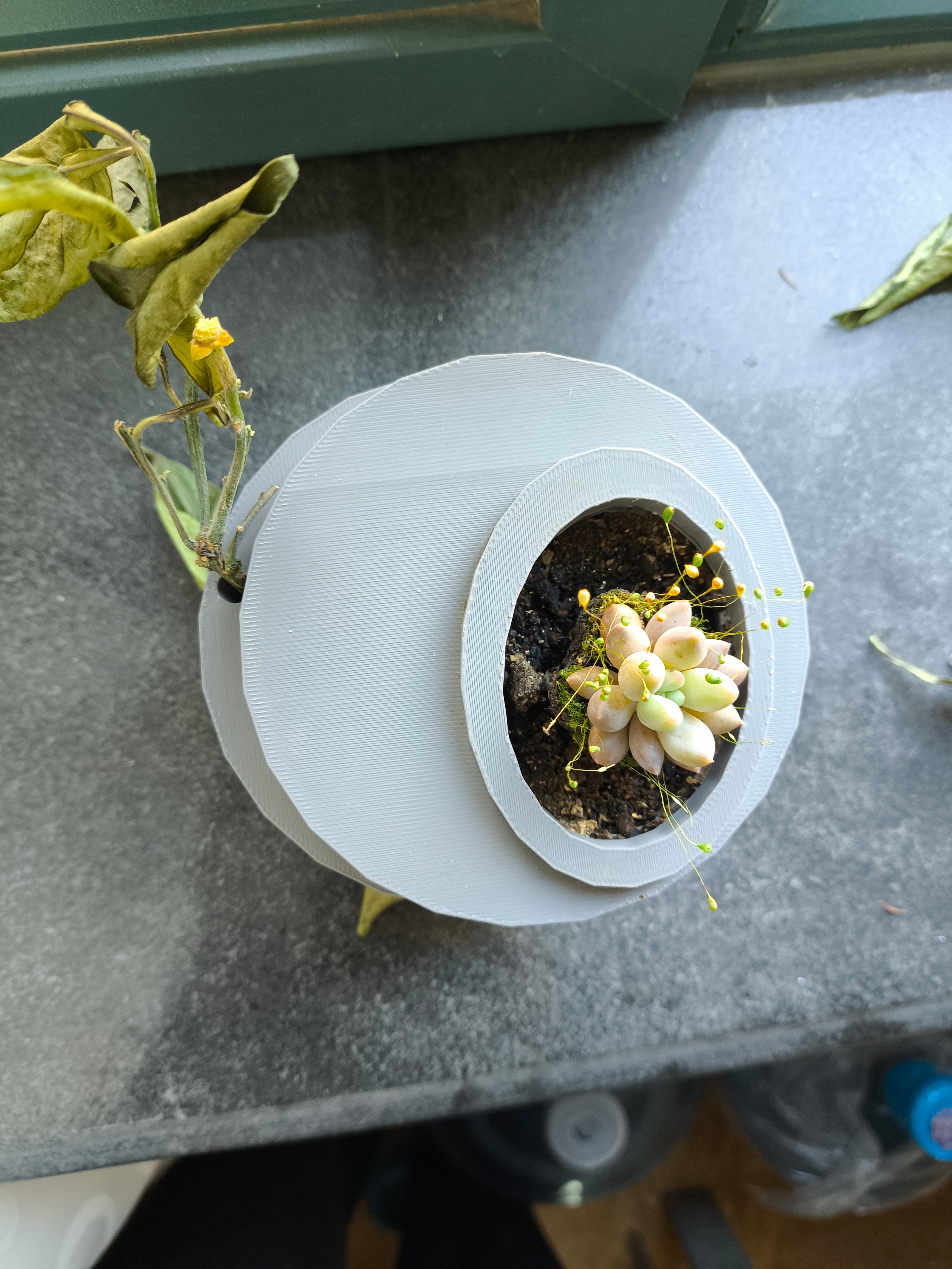 Brutalist Spaceship Planter